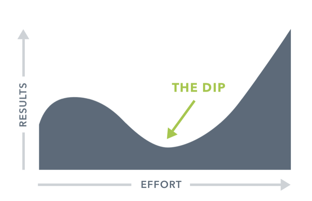 Seth Godins The Dip